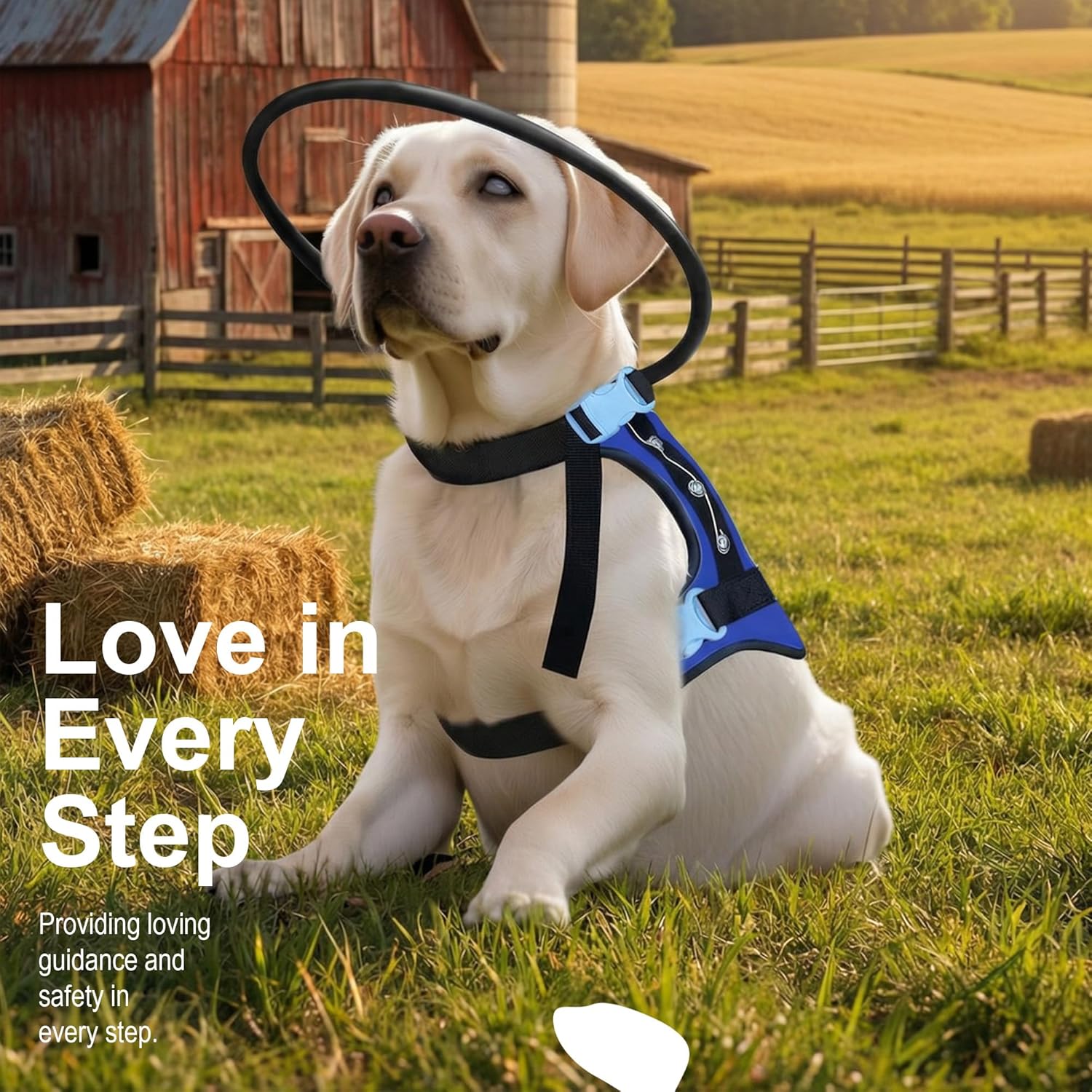Blind Dog Harness with Protective Halo Ring, Adjustable Protective Collar and Navigation Aid for Visually Impaired Dogs, Safe Mobility Support Tool (8-9In)