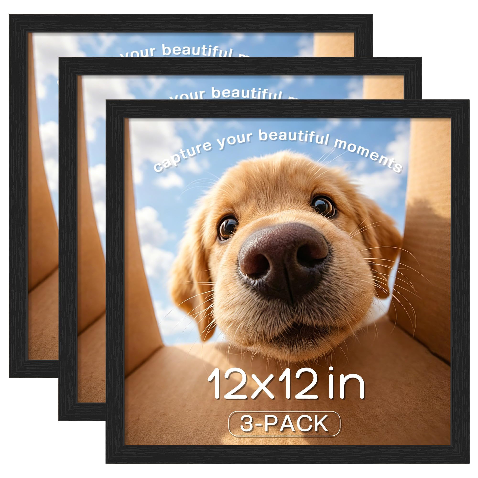 Picrit 12x12 Picture Frame 3 Pack, Wall Mount Display, Black Wood Grain