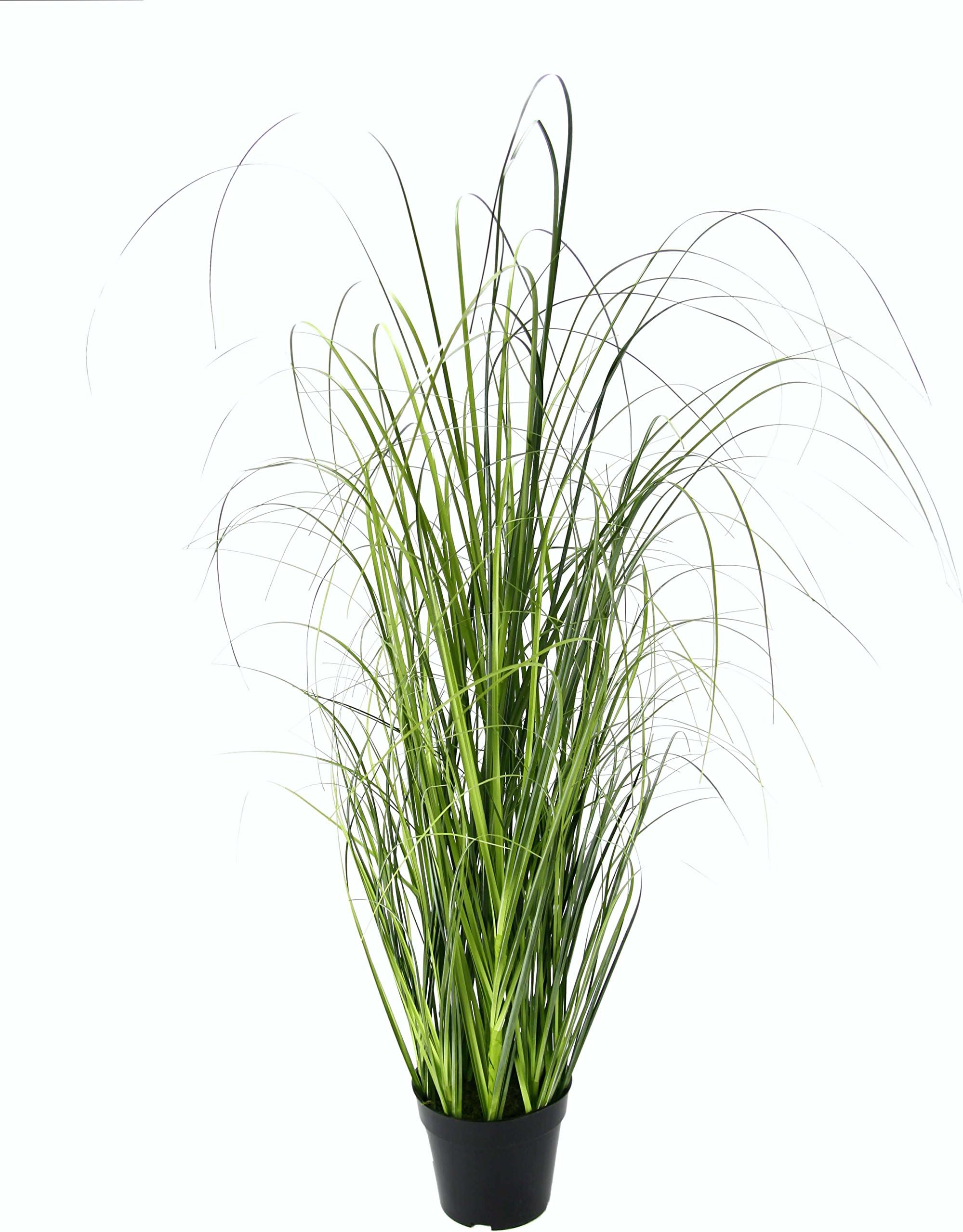 Amazon.de Dhouse Künstliches Gras Deko Gräser Gras Arrangement
