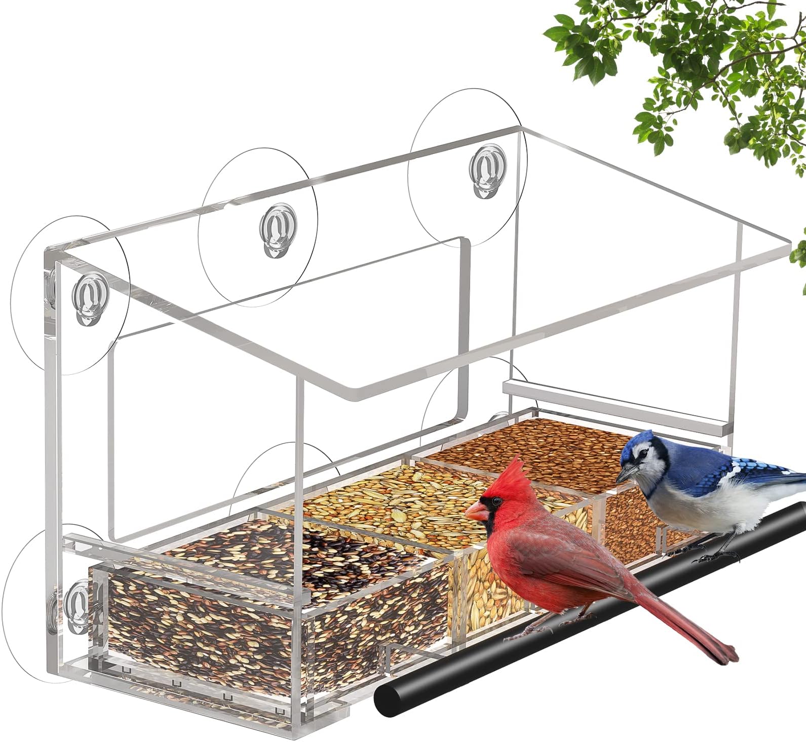 Amazon.com : Window Bird Feeder Easy to Use to Attract Birds, Cool and ... - Unique Bird Watching Windows
