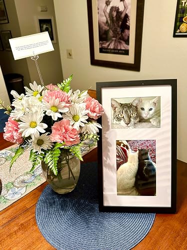 Review Image by Amazon Customer