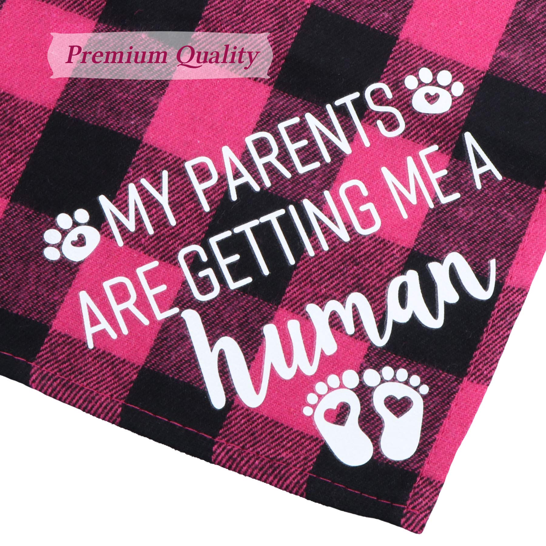 STMK Bandana pour chien « My Parents are Getting Me A Human » - Annonce de grossesse - Bandana pour chien - Annonce du sexe de bébé - Accessoire photo pour chien (bleu et rose)