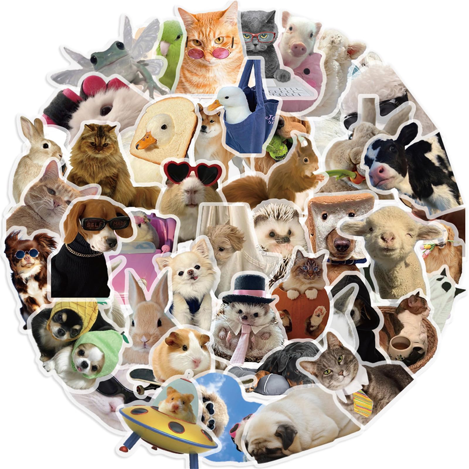 CDMEME-PET Lot de 50 autocollants transparents amusants en PET pour scrapbooking, journaux, cadeaux pour enfants et adultes, fabrication de cartes, lettres
