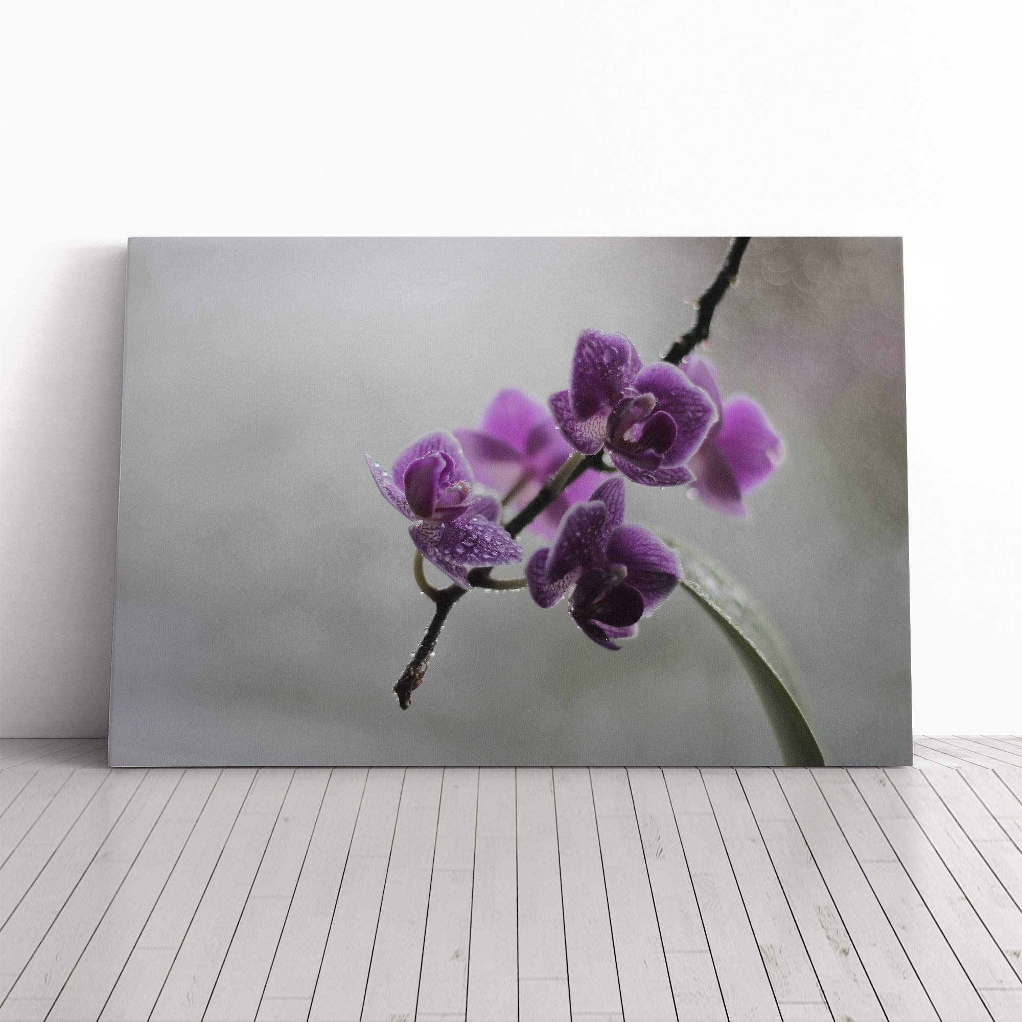 Flower Purple Orchid (5) Canvas Print | Gallery Wrapped 30mm Frame Wall Art | 30x20 inches | Ready to Hang | Modern Floral Picture | Living Room Bedroom Lounge Office