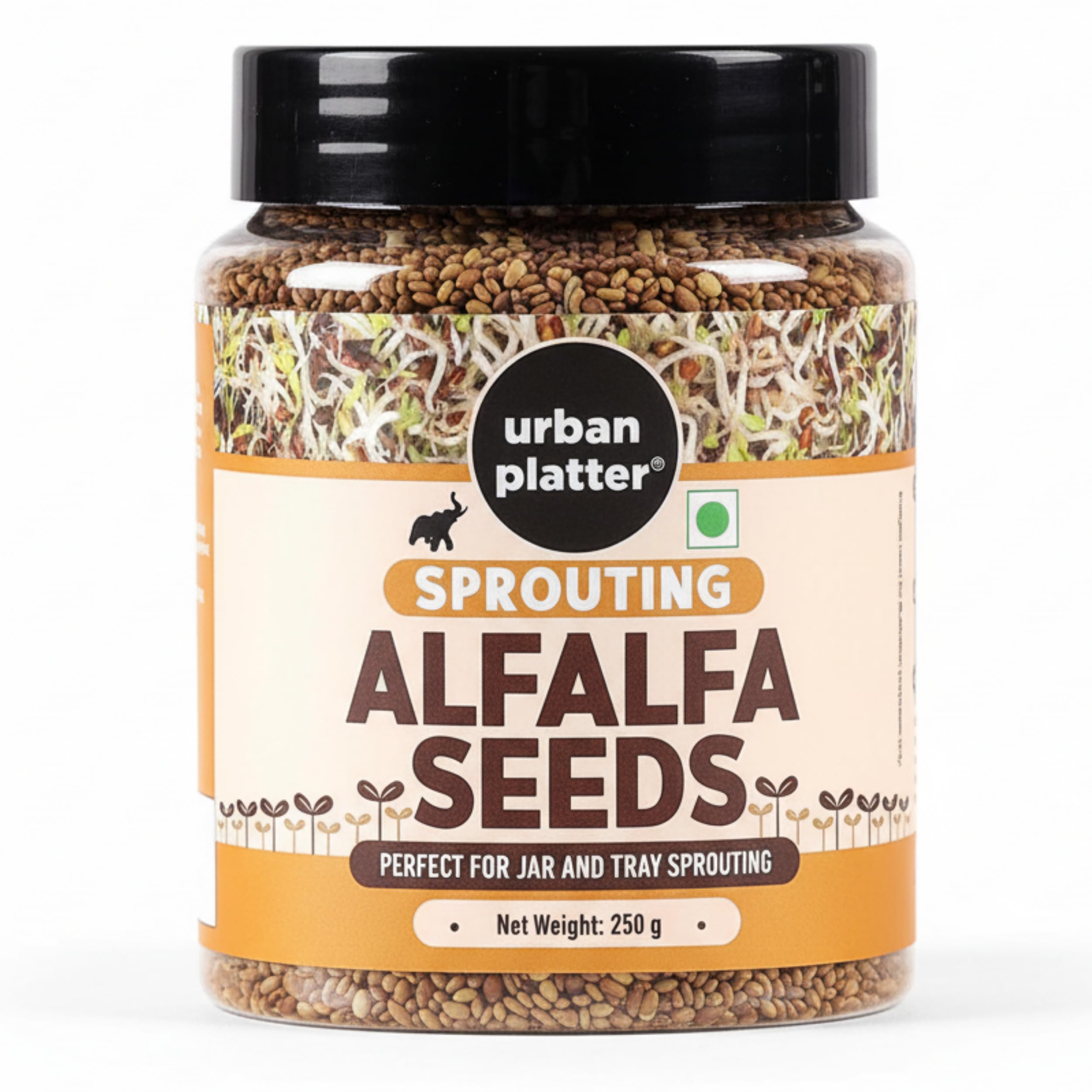 Alfalfa Seeds, 250 g