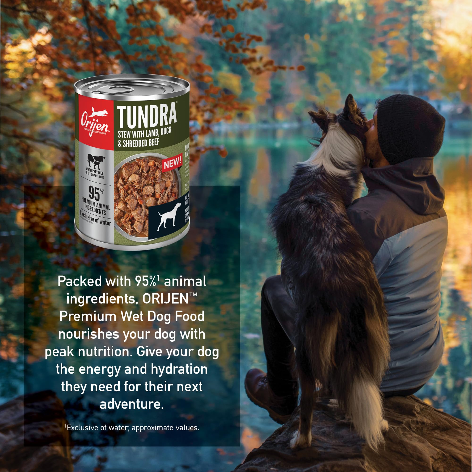 Tundra Dog Orijen Tundra 25lb Orijen Tundra Dog Food Reviews