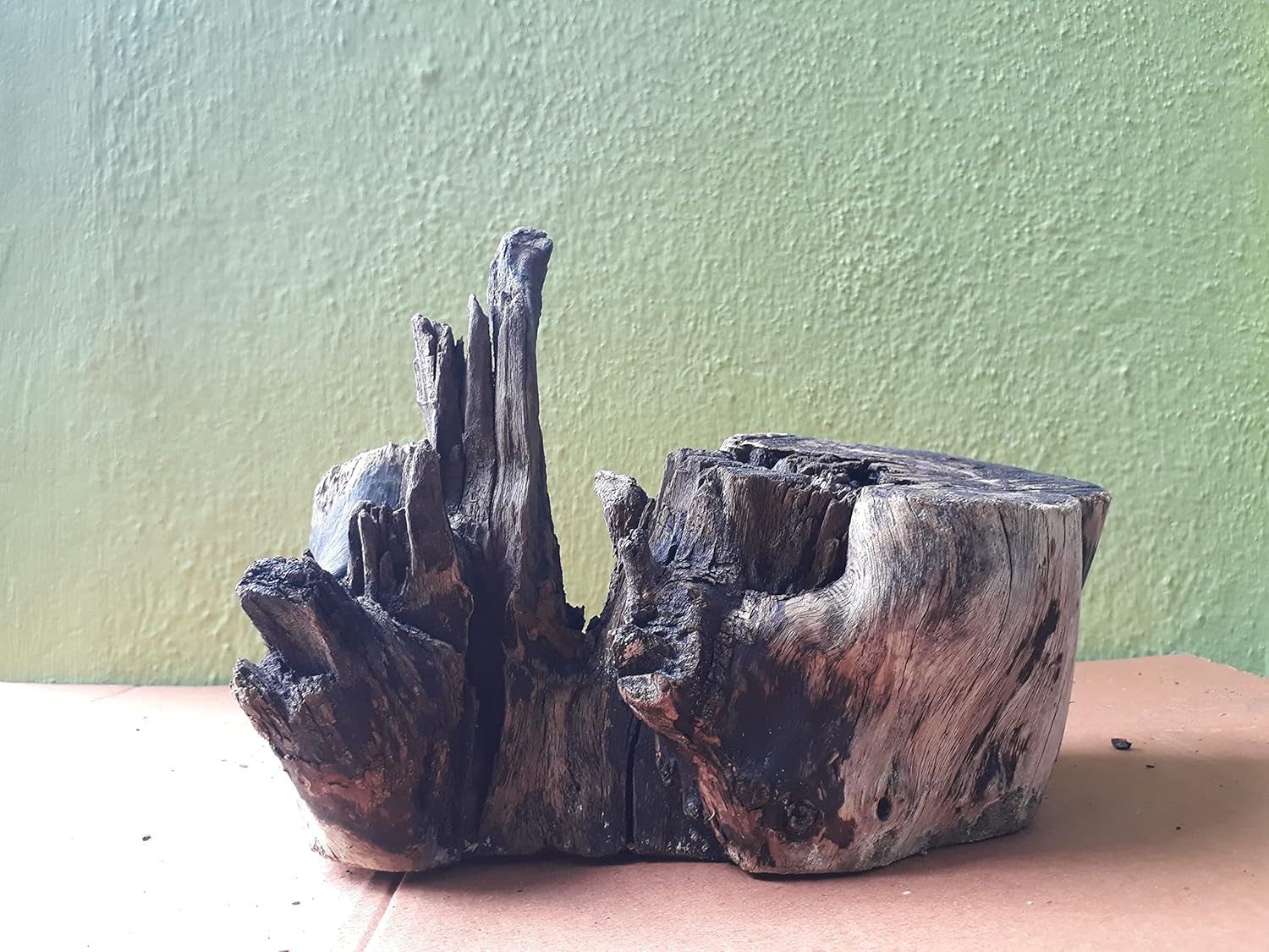 Driftwood for Aquarium Weight About 1.5 KG and 30 CM Long dritwood