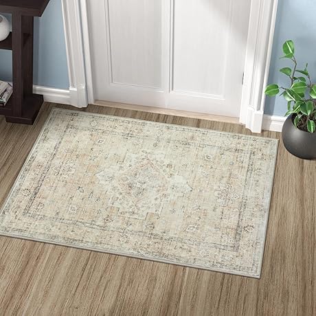Diho Rugs Quick Dry Farmhouse Indoor Entry Rug Mat