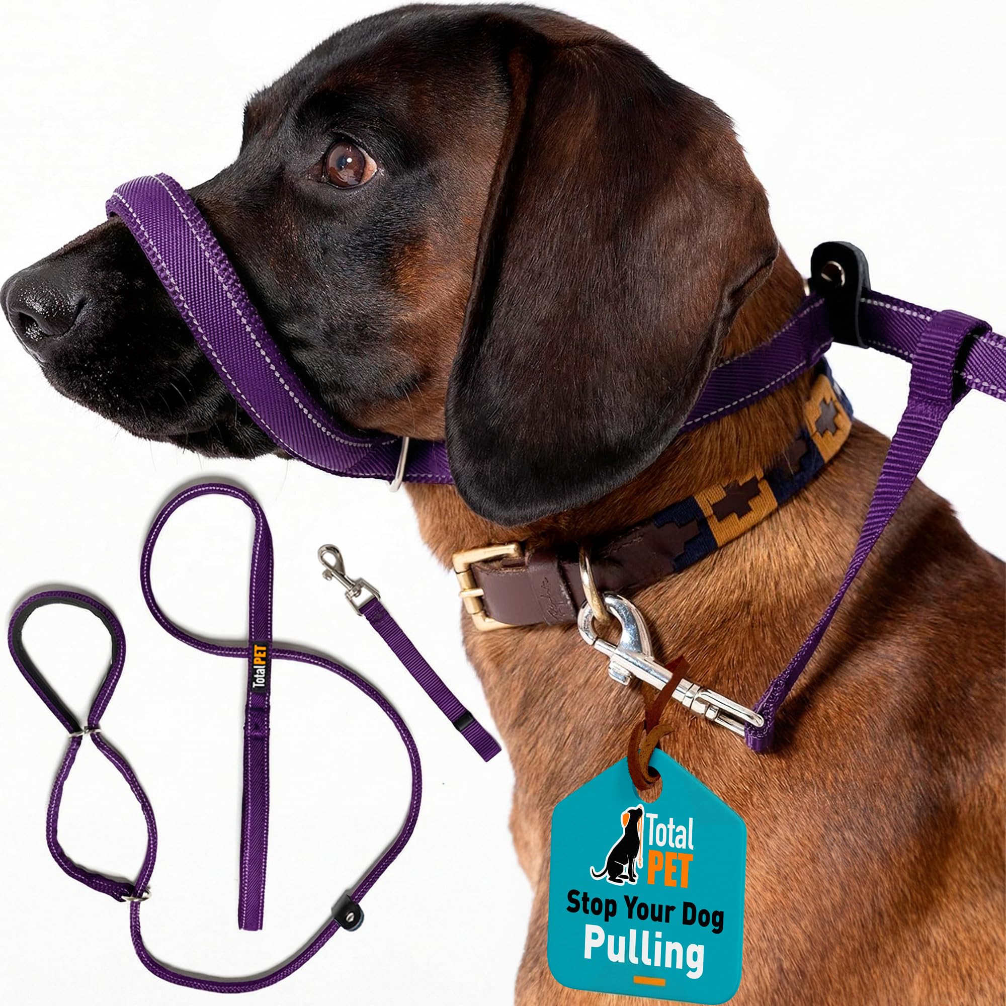 Total Pet Figure of 8 Dog Lead - Flat Anti Pull Stop Dogs Pulling – Slip Leads Reflective with Padded Nose Support (180cm) (Purple, 180cm)