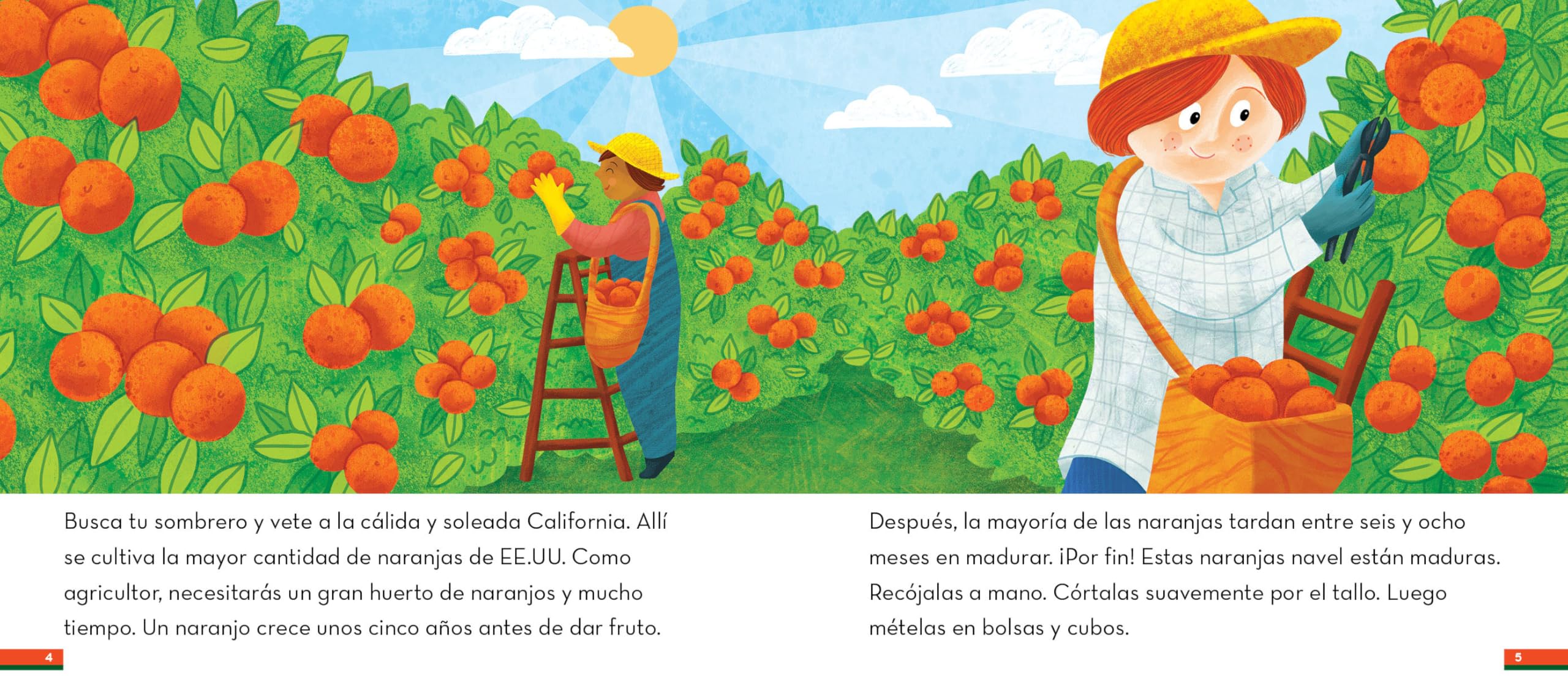 del Árbol a la Ensalada de Frutas (¿Quién Preparó Mi Almuerzo?)
