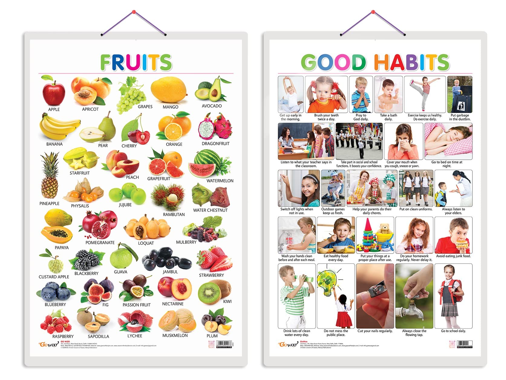 GO WOO Combo of 2 Fruits and Good Habits Educational Posters for Preschool Kids Classroom Study | Learning- Charts for Kids Learning (20"X30" Inches)