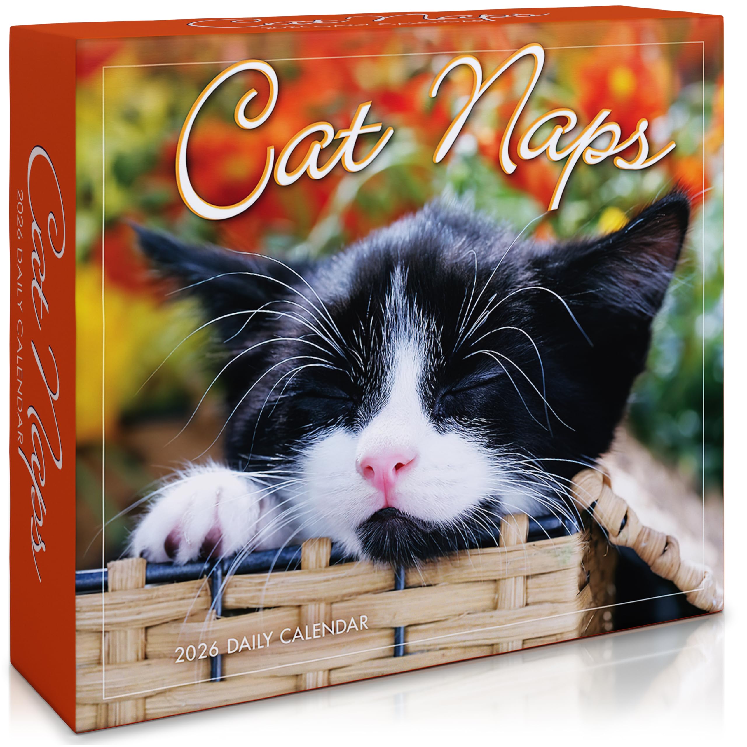 Cat Naps Desk Calendar 2026
