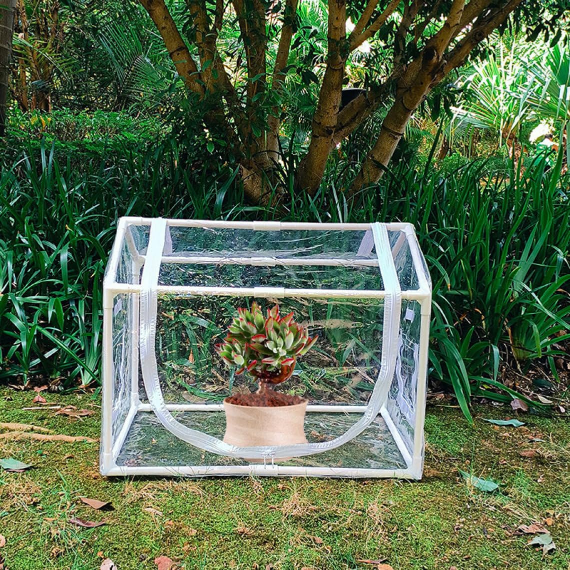 Amazon.co.jp: [GZGZ] ビニール温室 フラワースタンド用/温室 ビニール
