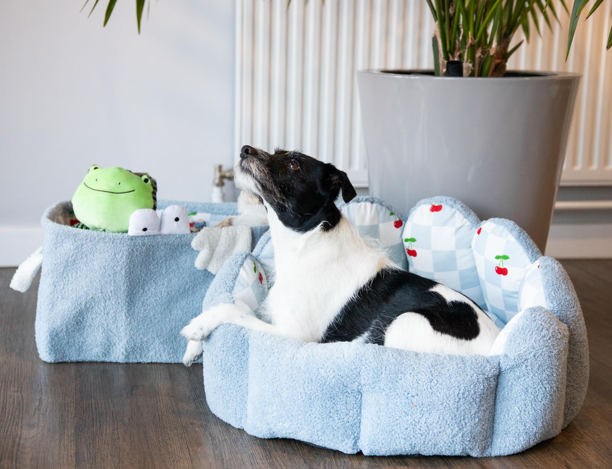 Rosewood Cama para Perros con Estampado de Cerezas Azules y Toalla, Cama Reversible para Mascotas para Perros pequeños y Cachorros, Terciopelo Suave y Tela de Toalla, Base Antideslizante, Funda