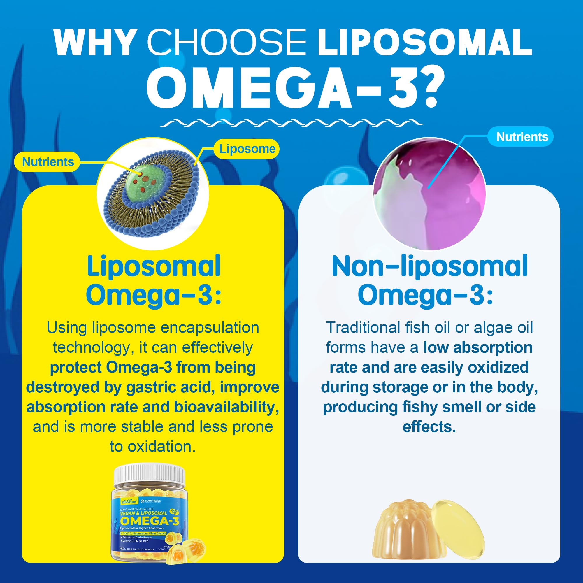 Omega-3 Gummies + CoQ10+ Magnesium- EPA 600mg & DHA 400mg, Fish Oil Omega 3 Supplements Alternative for Women Men Adults - from Vegan Algae Oil- Liposomal Form - with Plant Sterols, Garlic, Sugar Free — Amazon image 3