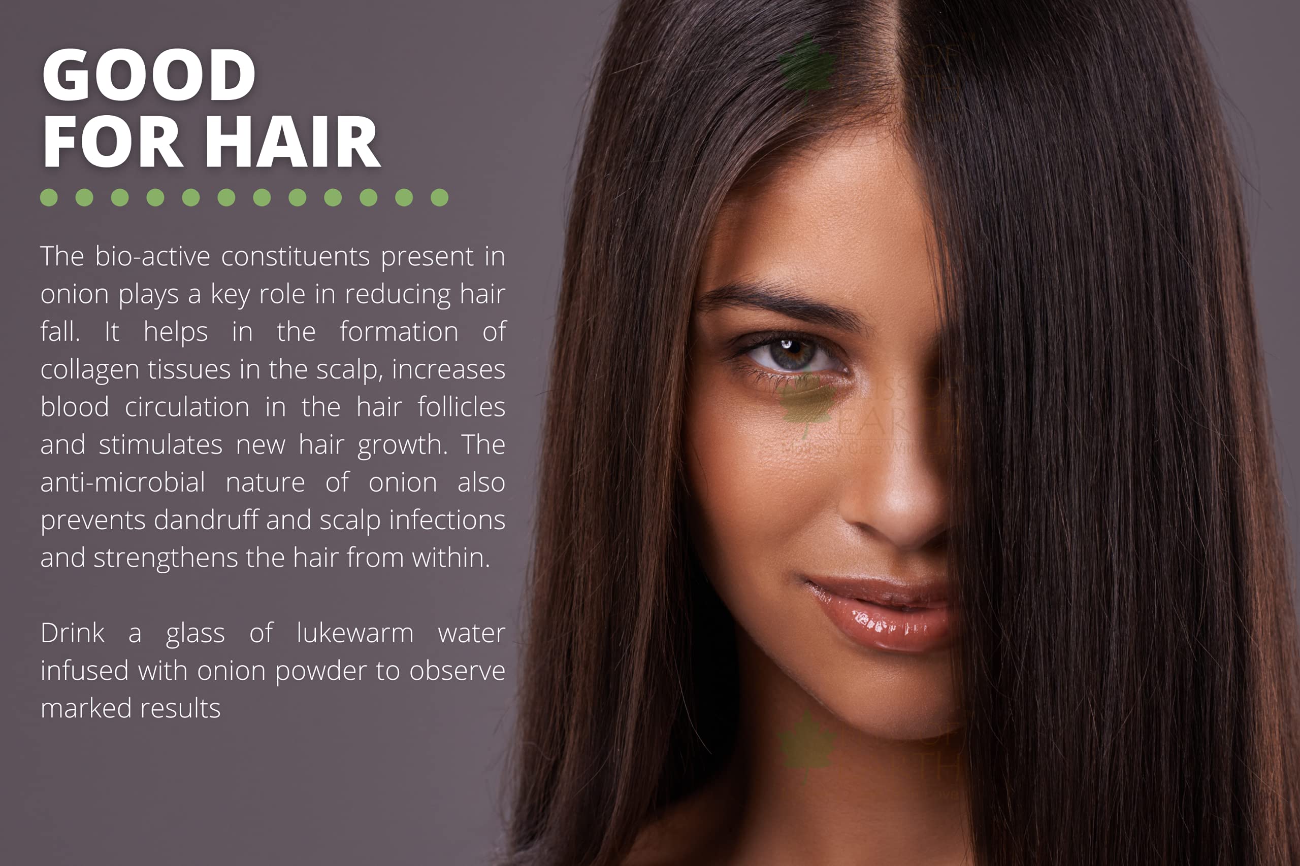Bliss Of Earth 500Gm Natural Red Onion Powder, Dehydrated, Good For Cooking & Hair Growth - Image 7 thumbnail