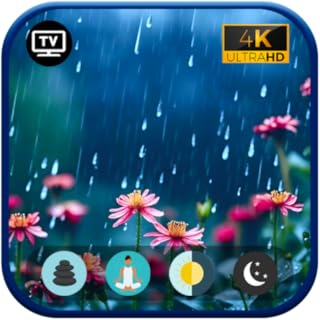 Rain Lover Sounds: Heavy Rain & Thunderstorm _ Heavy Rain Sounds _ ASMR Rain Sound For Sleeping For Fire TV - NO ADS