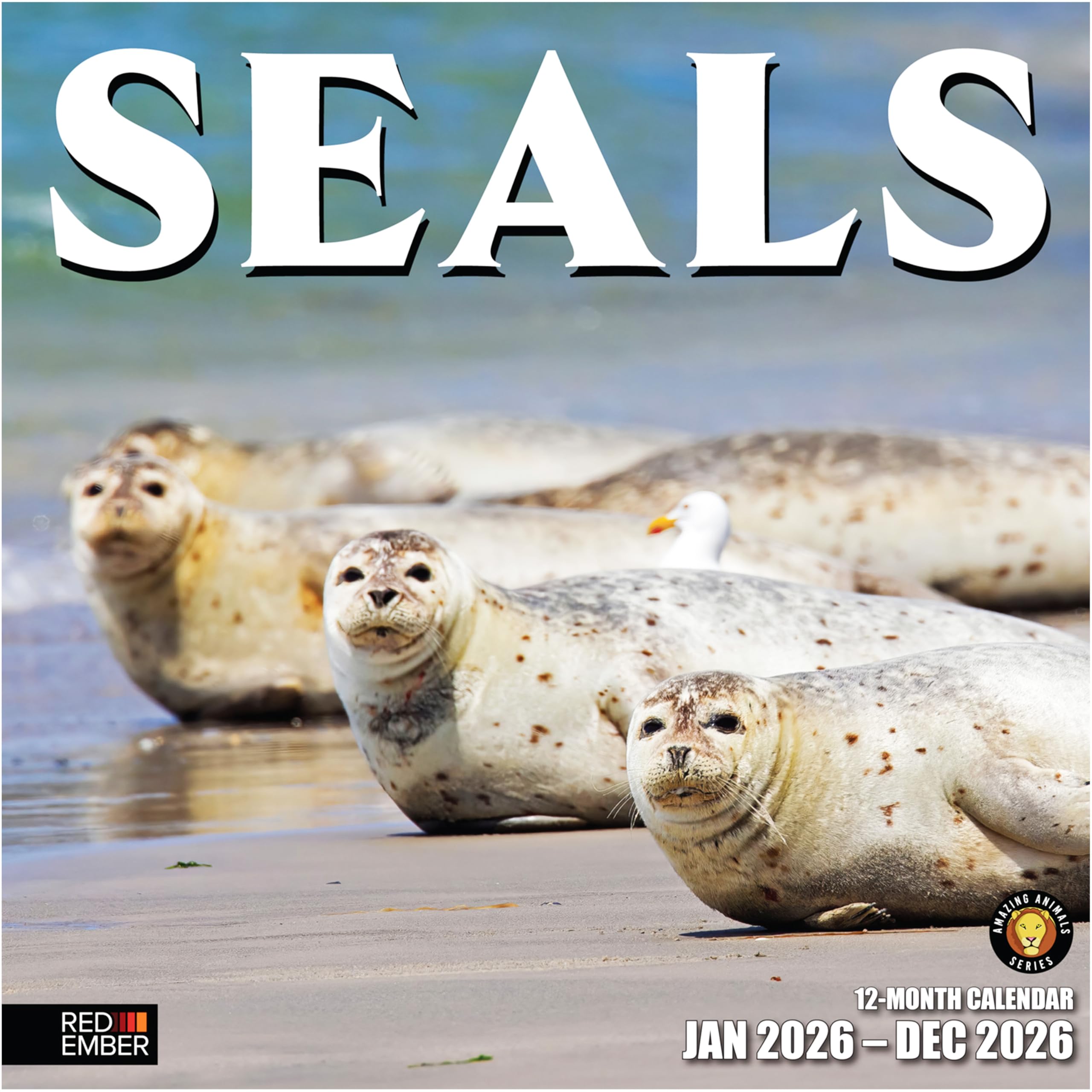 RED EMBER Seals 2026 Wall Calendar 12 Month | 12" x 24" Open | Thick & Sturdy Paper | Giftable | Calendar 2026