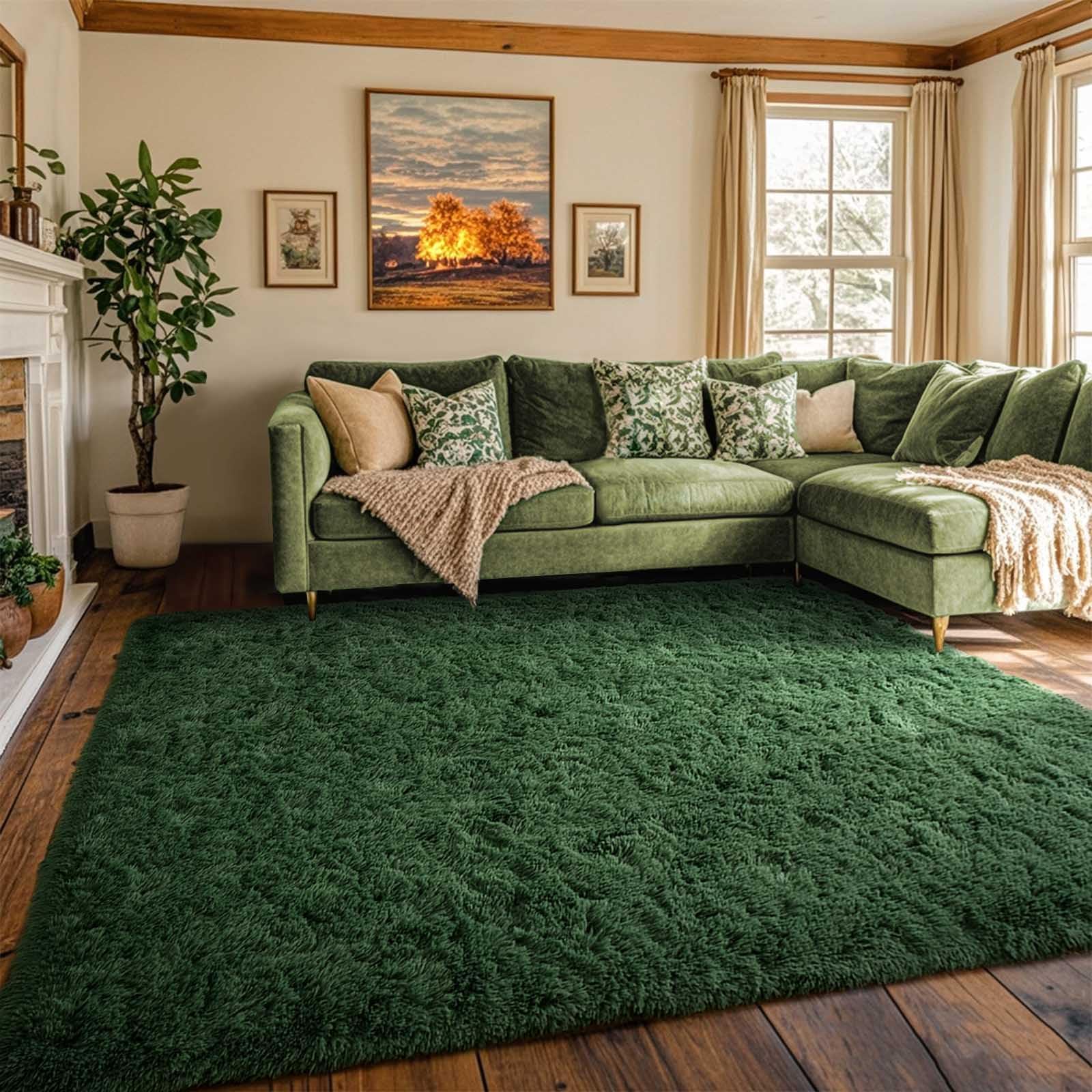 Amazon.com: Area Rugs for Bedroom Living Room, Dark Green 4x6