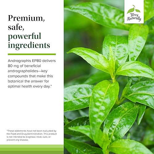 Miniatura 5 de Terry Naturally Andrographis EP80 Extra Strength - Salud cerebral y apoyo inmunológico - Suplemento de salud articular para ayudar a la movilidad -