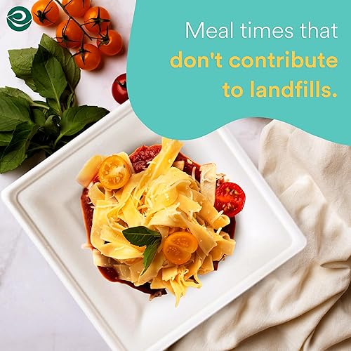 Miniatura 6 de ECO SOUL Platos de papel cuadrados blanco perla de 8 pulgadas (paquete de 100 unidades)  Bagazo desechable 100% compostable I Platos de cena