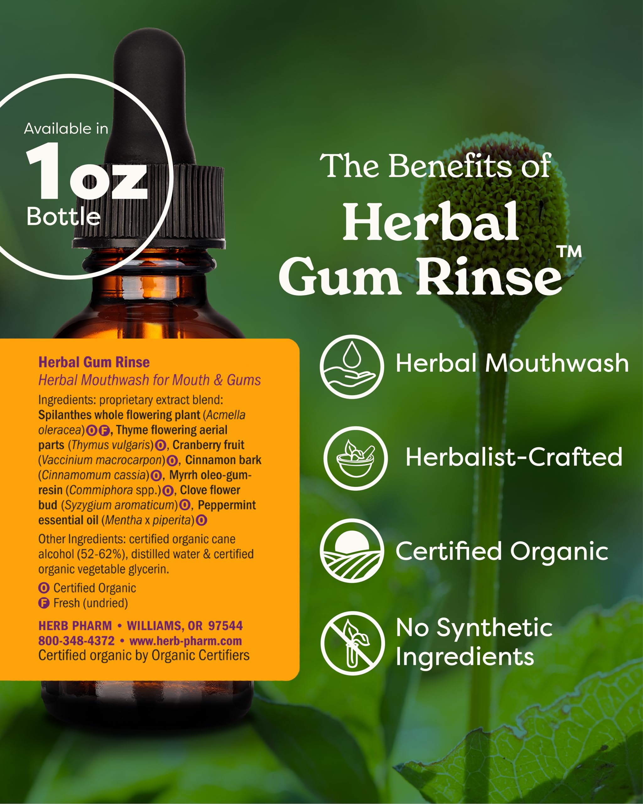 Herb Pharm Gum Guardian Herbal Mouthwash for Healthy Mouth and Gums, Organic, 1 Fl Oz (Pack of 1)