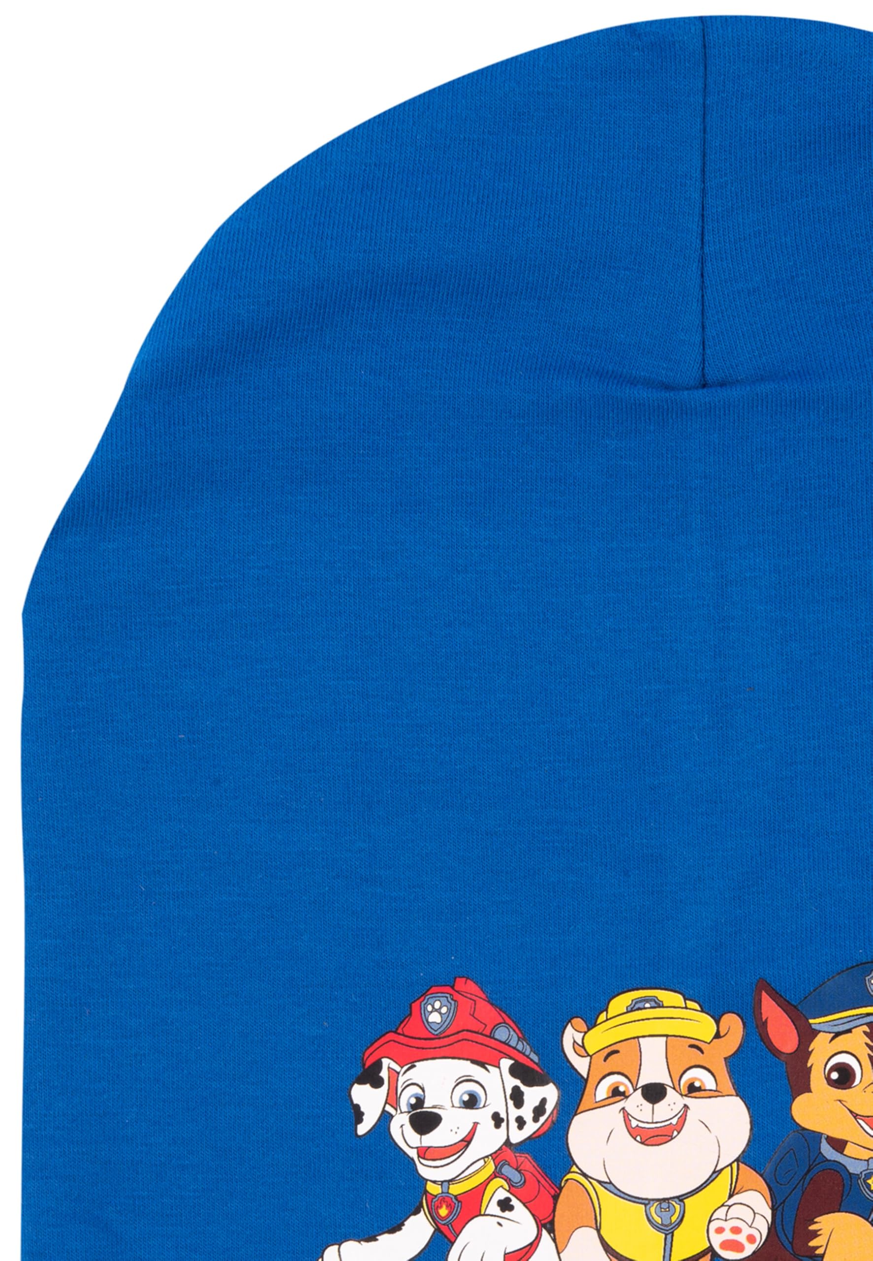 Psi Patrol Beanie dla młodzieży - dziecięca czapka przejściowa czapka niebieska, niebieski, jeden rozmiar