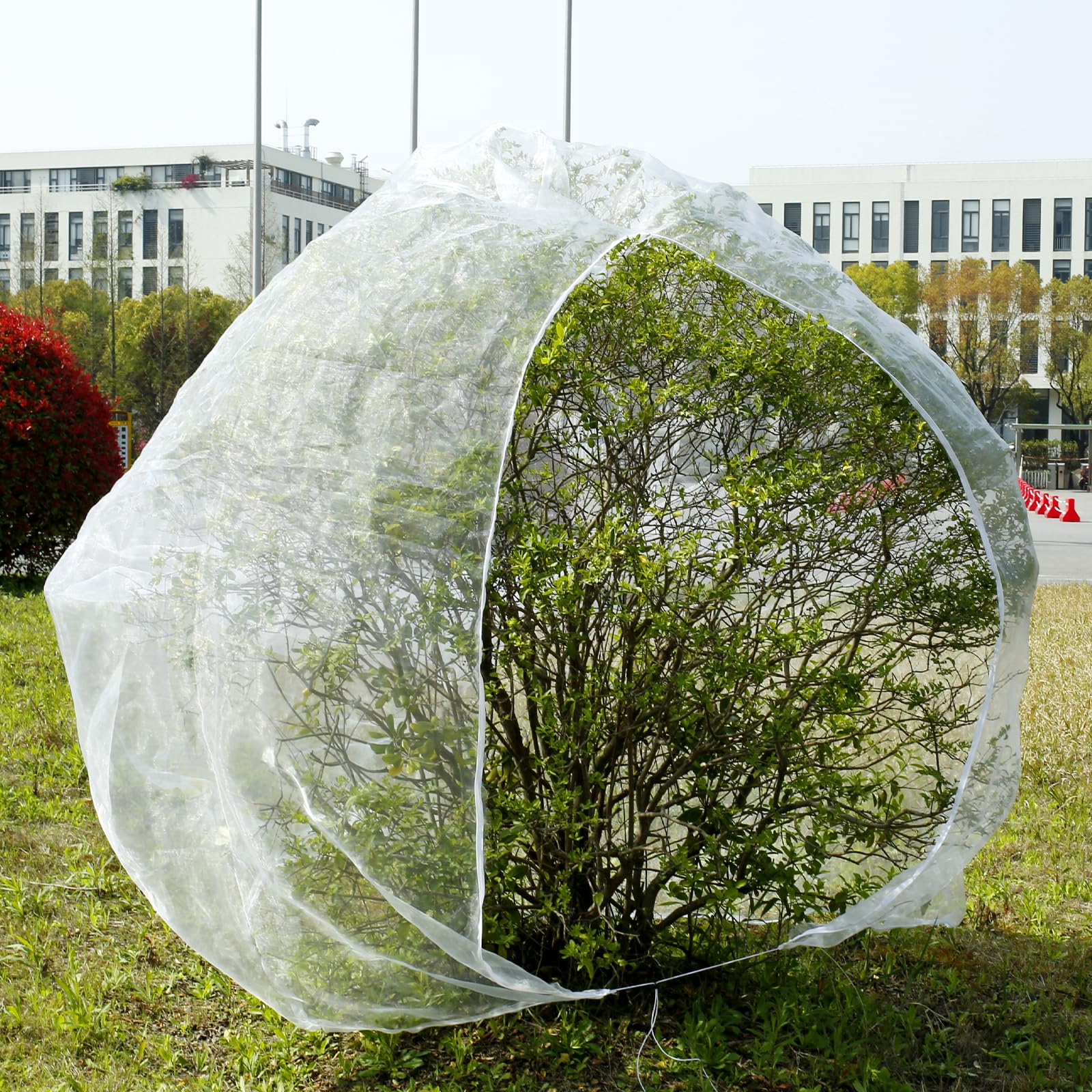 Platenvoeding Voor Terras- En Balkonplanten Aanbieding bij Tuincentrum Osdorp Platenvoeding Voor Terras- En Balkonplanten Aanbieding bij Tuincentrum Osdorp