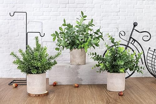 Vista 26 de Der Rose Paquete de 3 mini plantas falsas en maceta, plantas artificiales de eucalipto de plástico para el hogar, oficina, escritorio, granja, Verde