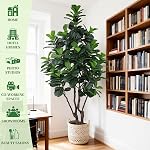 8FT Majestic Artificial Fiddle Leaf Fig Tree with 310 Leaves, Colossal 46" Wide Large Faux Ficus Lyrata Floor Plant for Luxury High-Ceiling Foyer & Executive Office Decor