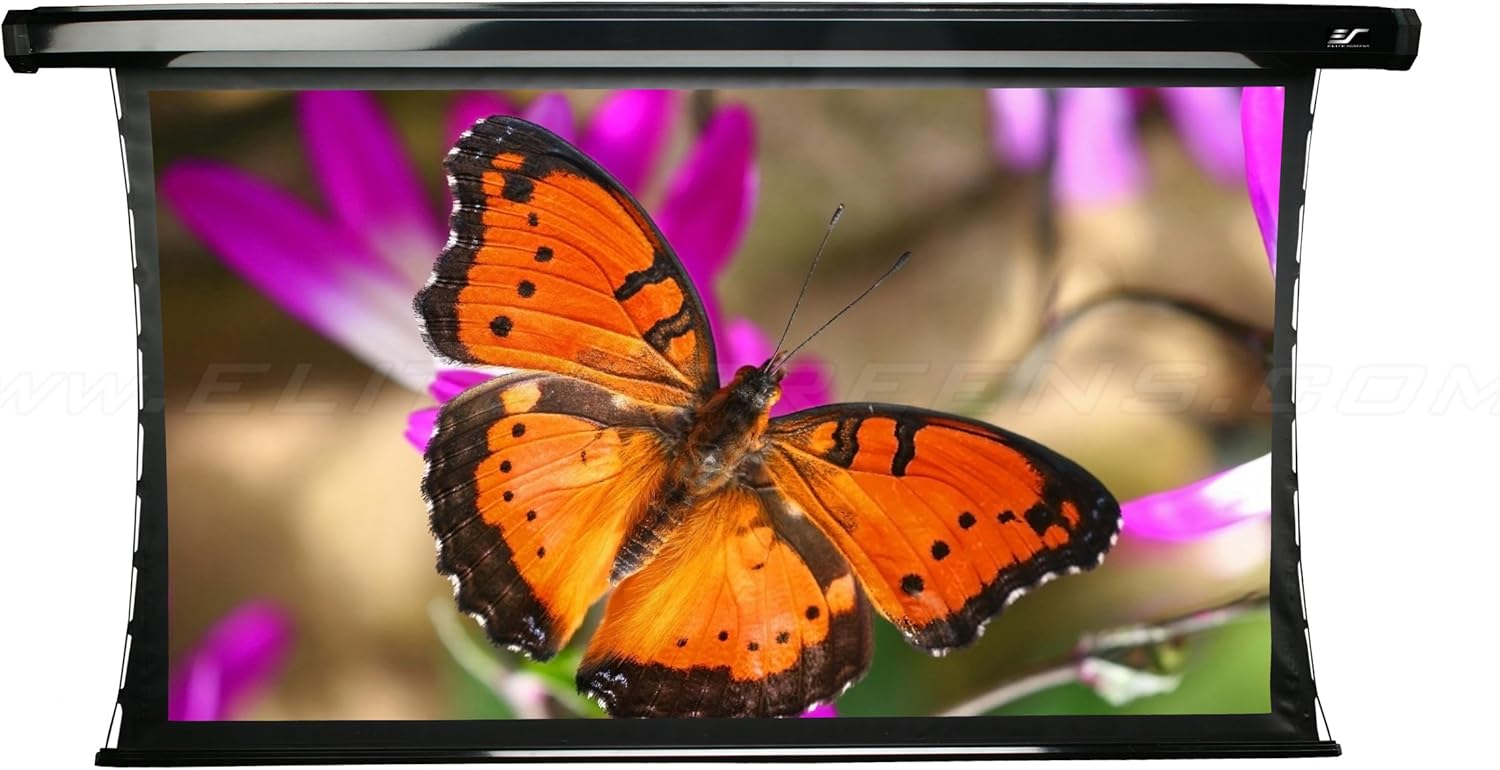 Elite Screens TE165HR2 CineTension2 Electric Rear Projection Screen (165 inch Diagonal 16:9 Ratio 81"Hx144"W)