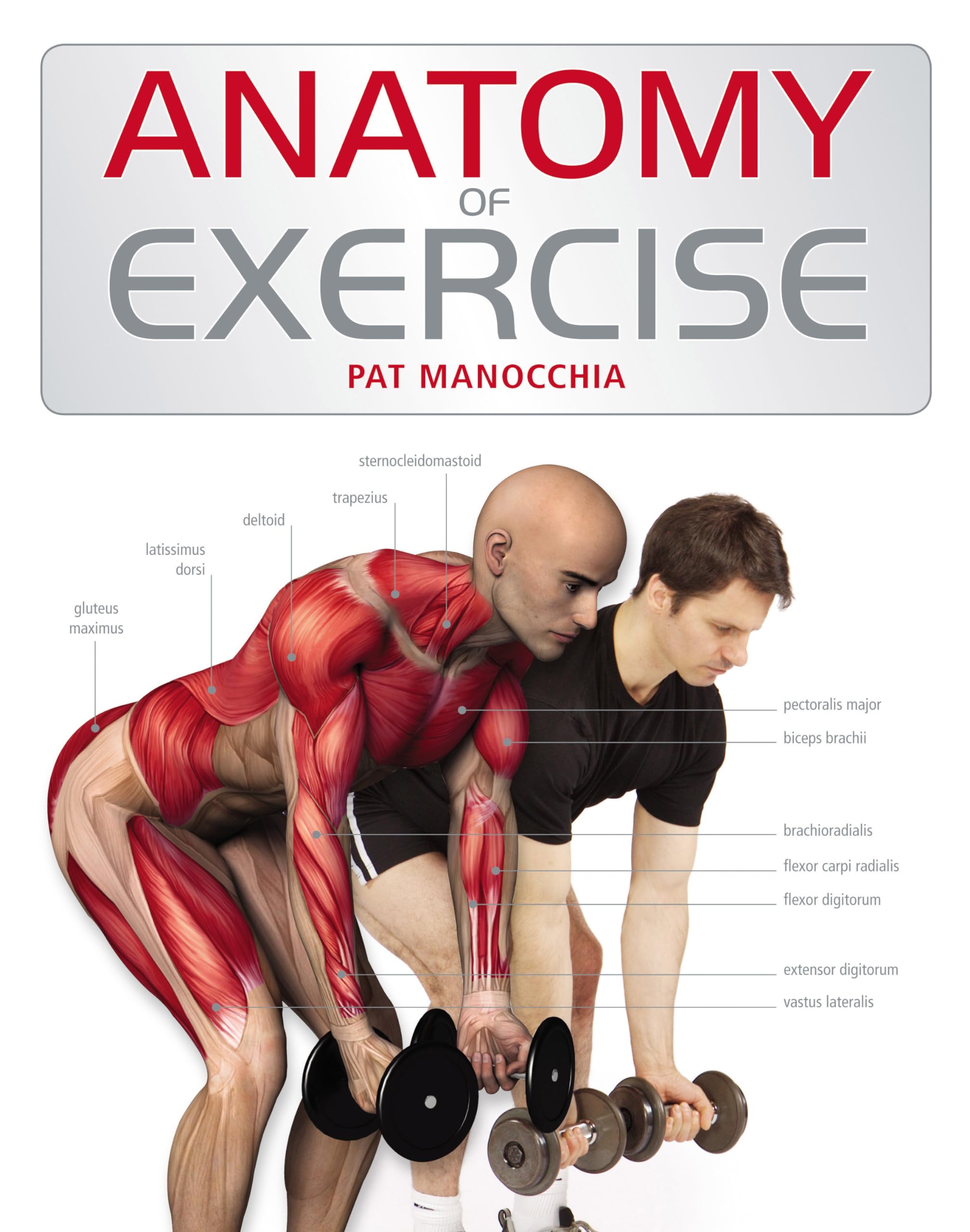 Anatomy of Exercise Paperback – 31 Oct. 2007