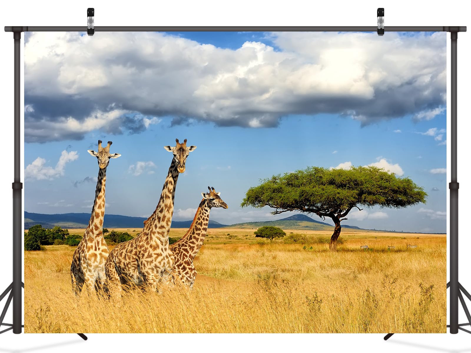 Silueta de dos jirafas, jirafa del oeste africano paisaje de jirafa del  norte, fondo de paisaje de jirafa africana, cuerno, mamífero, jirafa png |  PNGWing, image size:1600x1200