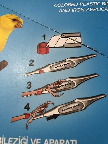 Bird Canary Leg Bands Leg Rings aplicador 10 colores Plástico 225-250 Pcs 0.114 in