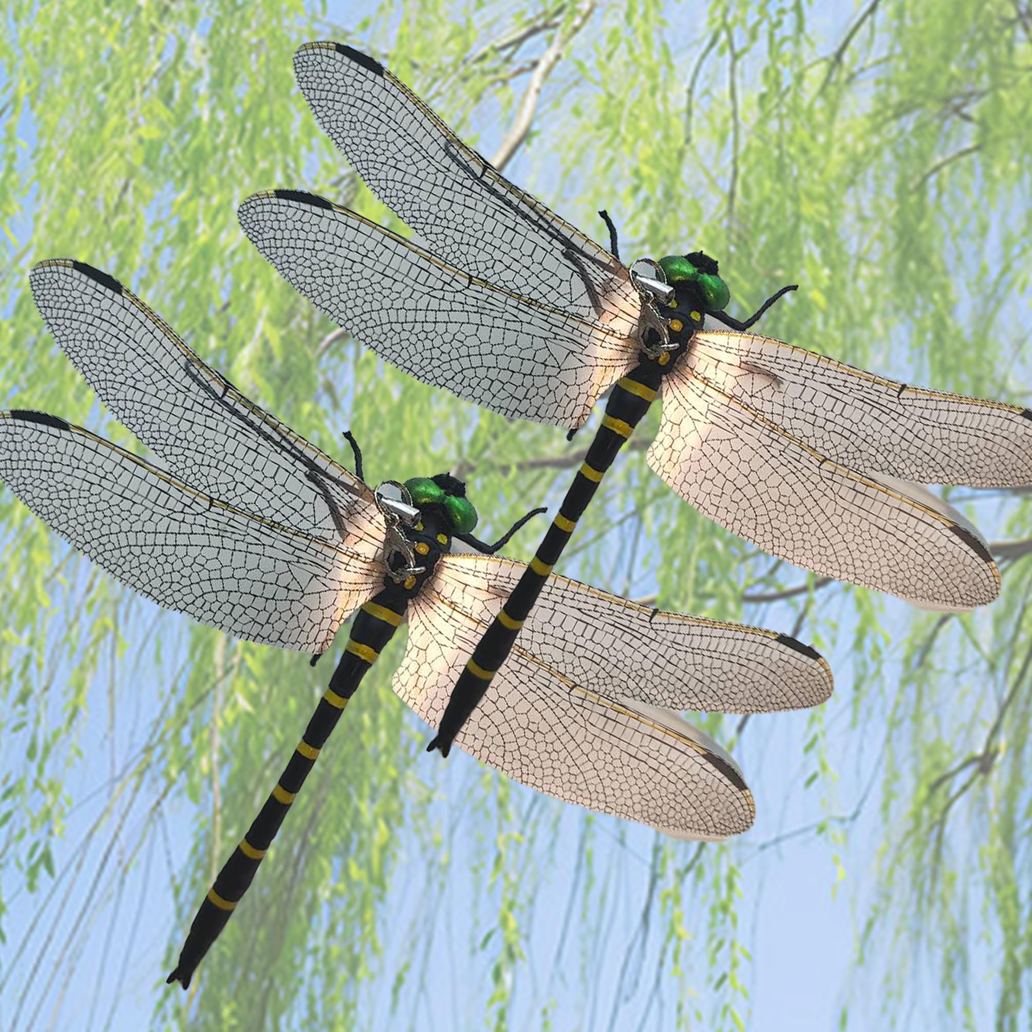 Amazon.co.jp: 魔方