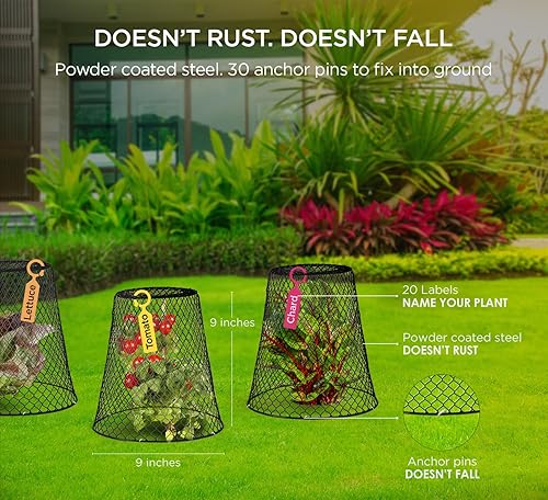Miniatura 2 de Protectores de plantas de animales jaula de plantas de 9 x 9 pulgadas para proteger el jardín de verduras al aire libre de conejos, pollo, juego de
