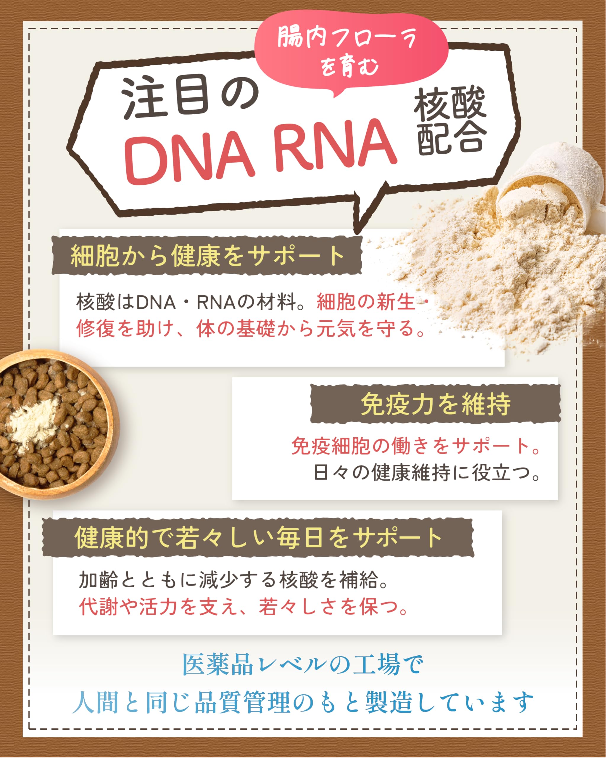 Amazon.co.jp: ここな kokona 猫 乳酸菌 酵素 サプリメント