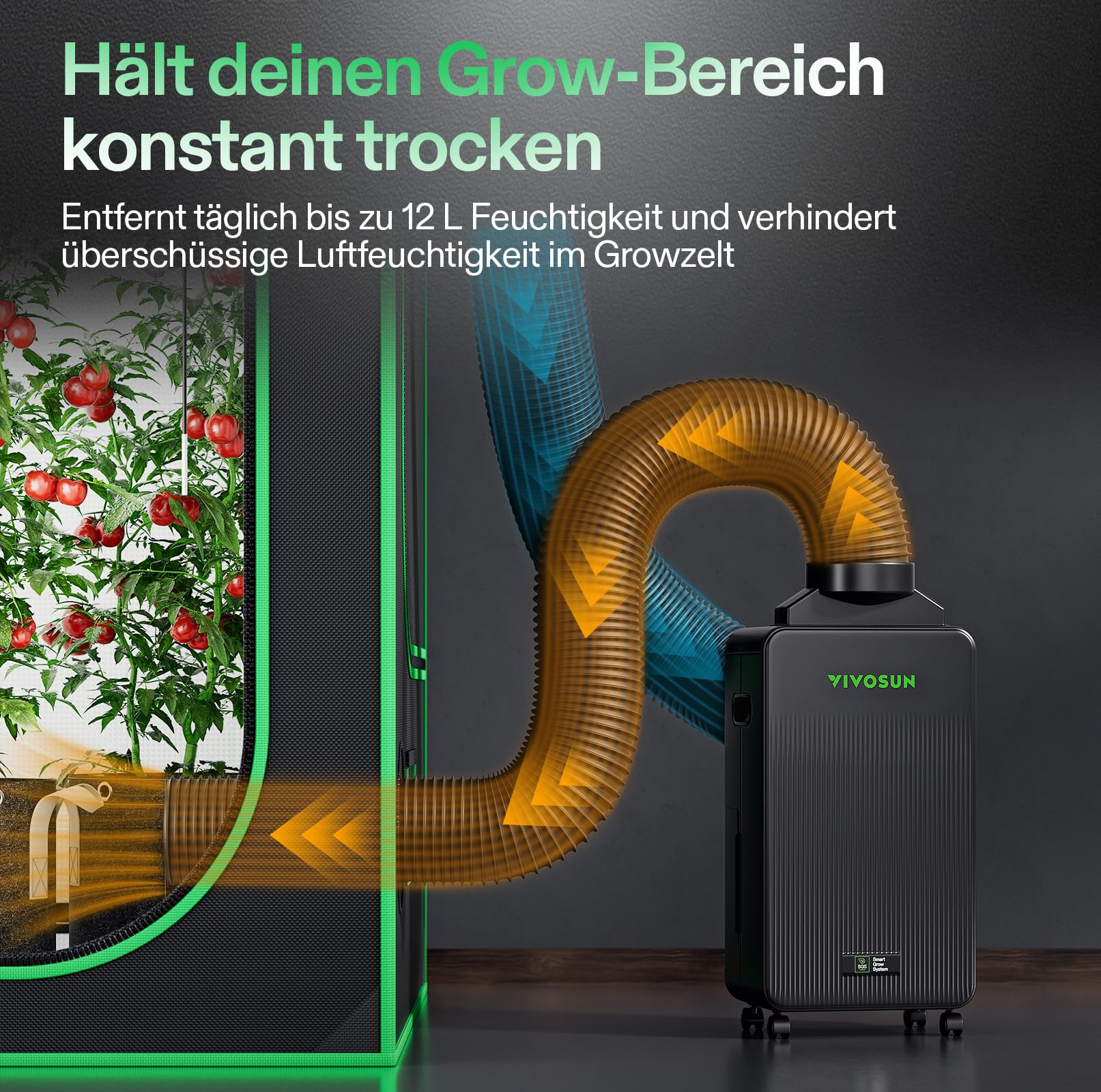 VIVOSUN AeroDrain D12 Luftentfeuchter Elektrisch 12L/Tag mit 2L Tank, Smart Dehumidifier mit Temperatur- & Feuchtigkeitssensor, Fernsteuerung, Ideal für Keller, Badezimmer & Growzelt