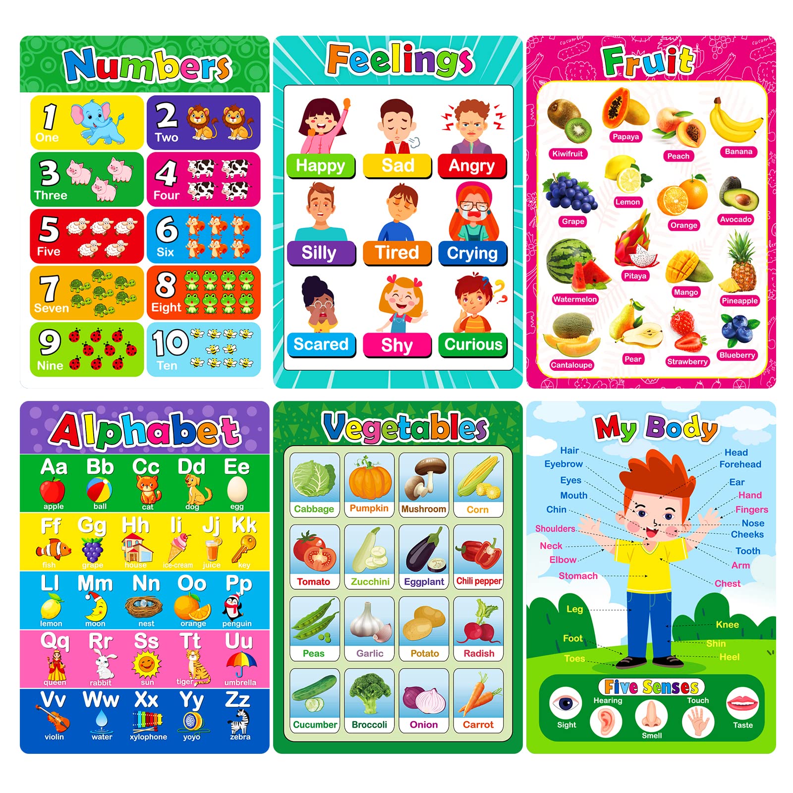 Buy 6 Pack Educational s for Toddlers Alphabet Chart Number Chart Fruit
