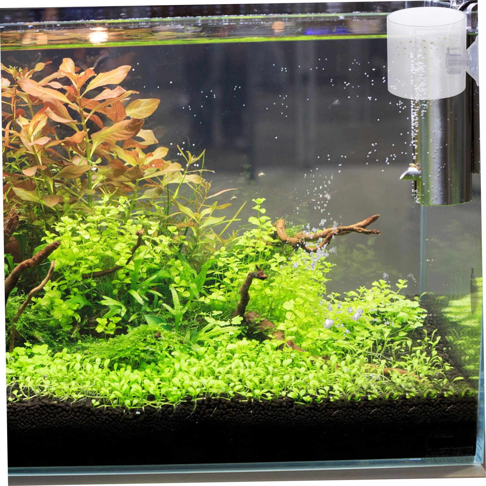 COSMEVIVI 3 Pieces Fish Feeder for Aquarium Floating Feeding Ring Creative Design for Turtle and Guppy