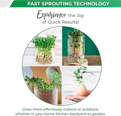 Miniatura 4 de Tiny Harvest - Mezcla de semillas microverdes, sin OMG, semillas de germinación rápida, incluyendo lentejas, garbanzo, guisantes verdes, frijoles