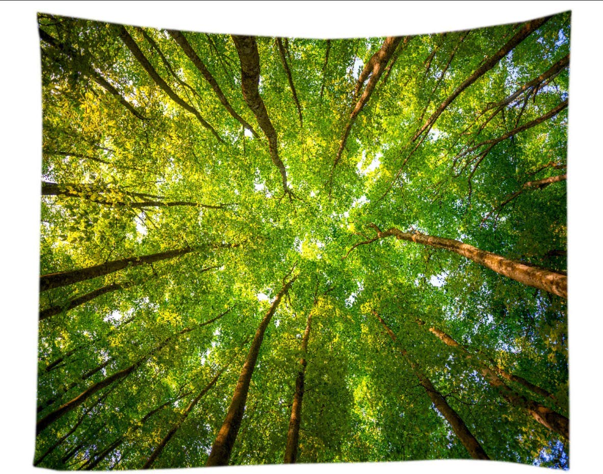 Amknn Forest Tapestry Fantasy Psychedelic Tapestry Fairy Forest Tree Wall Hanging Art Décor Bedroom Living Room (Forest Tapestry style 4, 150x130cm)