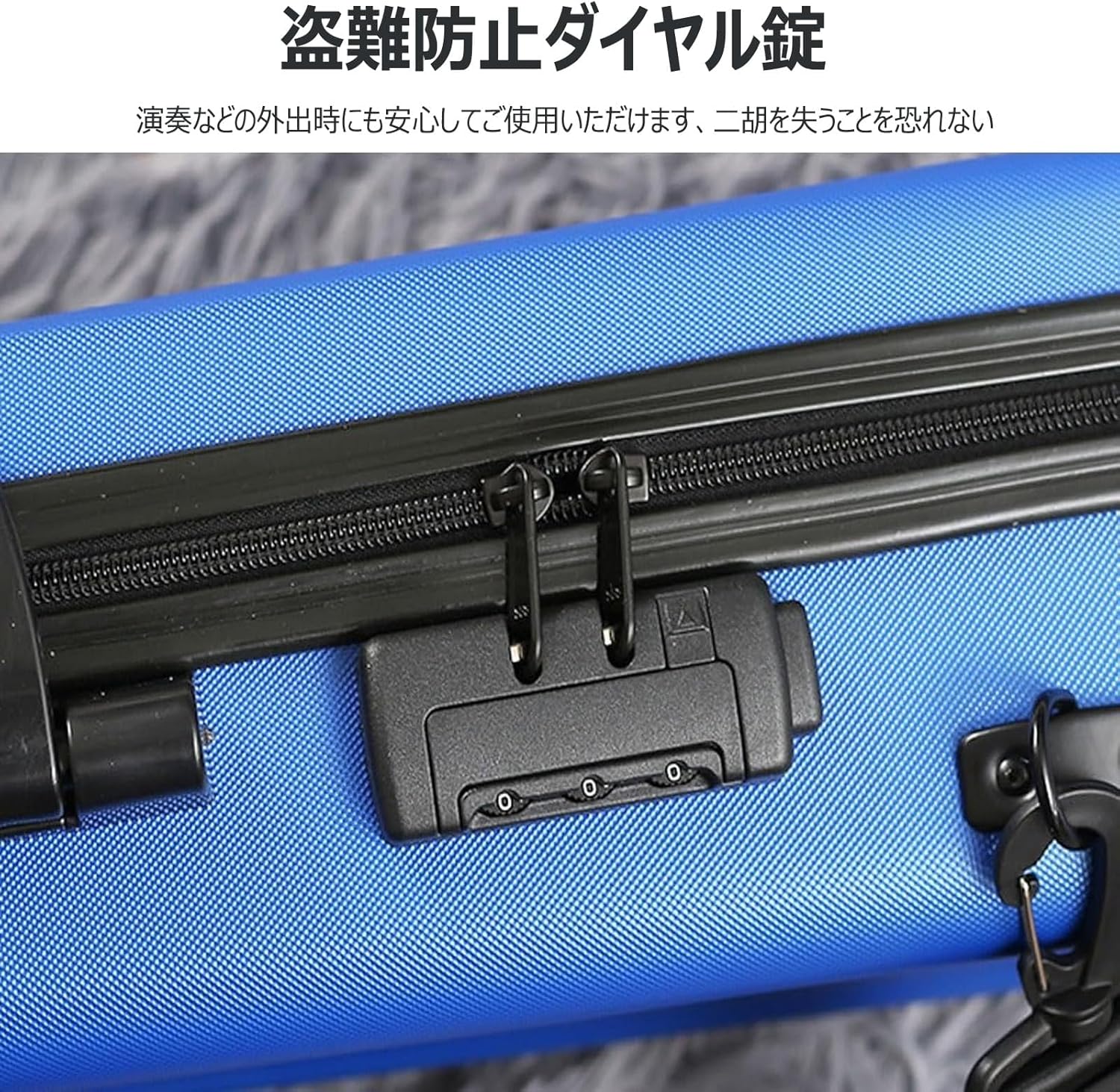 中国二胡ローズウッド弦楽器弓ケース英語本と付属品のフルセット付き