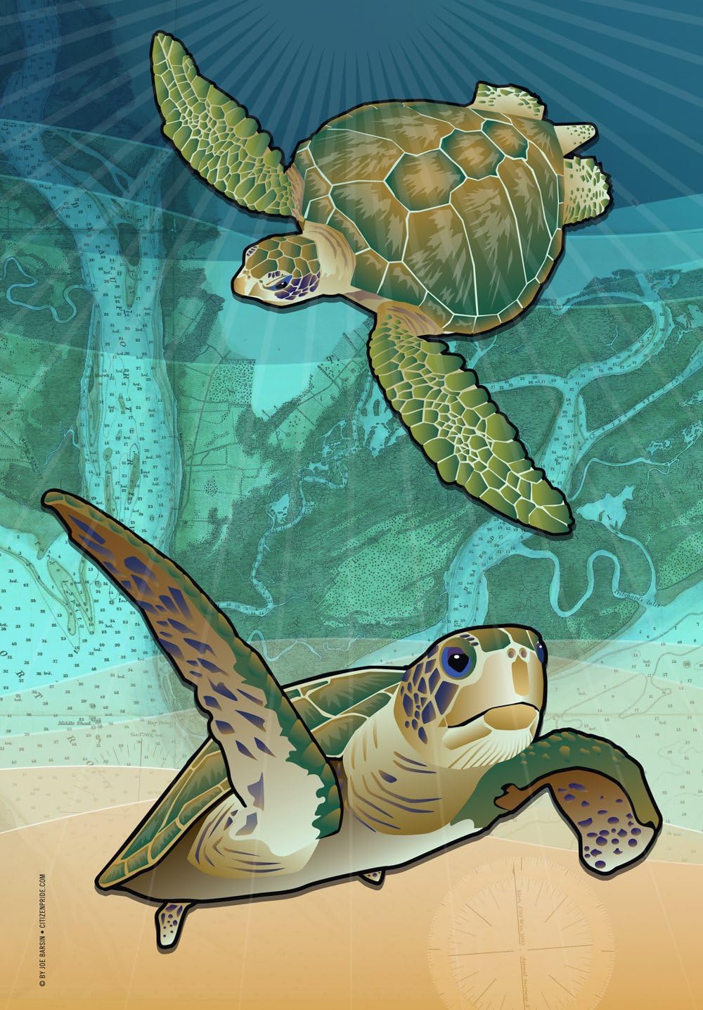 Coastal Sea Turtle of the Atlantic House Flag by Joe Barsin 28 x 40-Inch Decorative USA-Produced