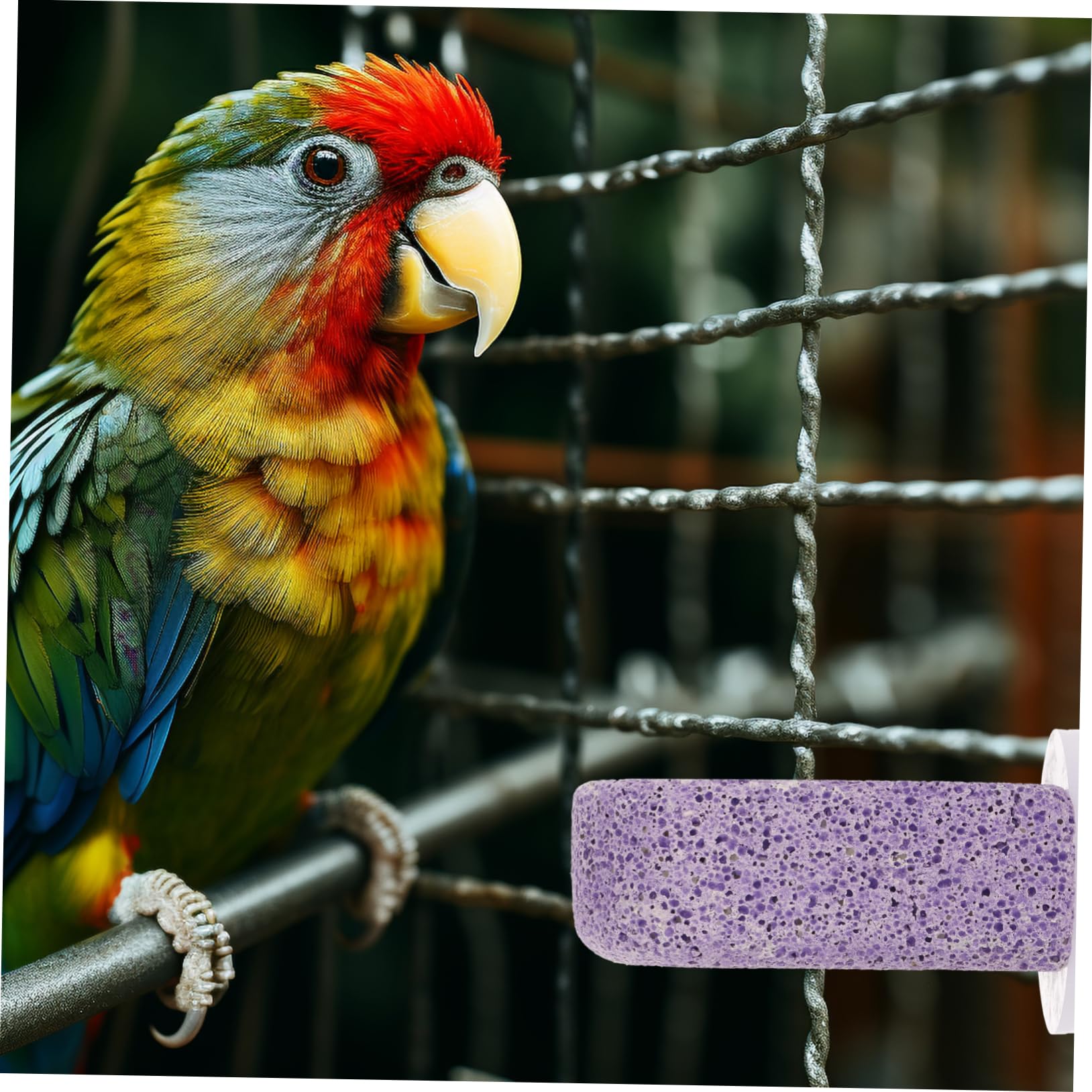 Yardwe 5stücke Bird Cage Mounted Perch Stand Für Vögel Paw Grinding Perch Für Wellensittiche Und Papageien Installieren Praktisch Und Vogelkäfig Zubehör Für Spiel Und