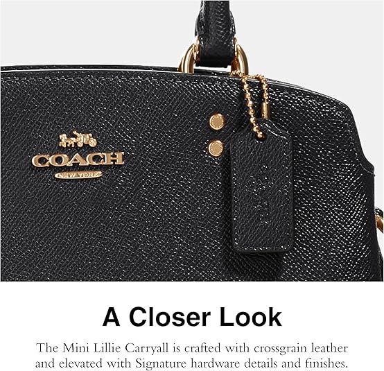 Amazon | [COACH] ミニリリーキャリーオール, ブラウン ブラック, One