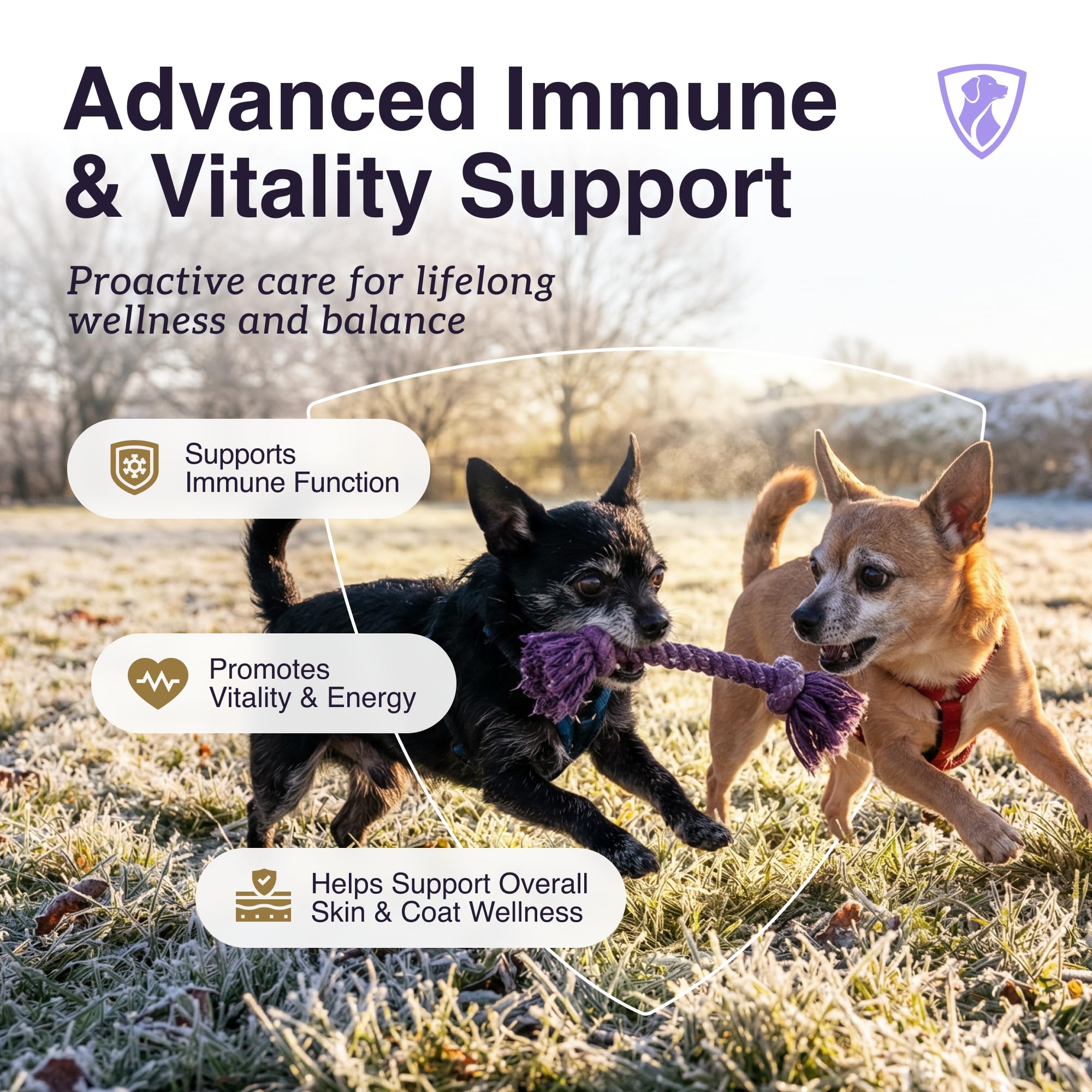 NutraRegen Primo Dog Mushroom Supplement with Turkey Tail – Immune Support — Amazon image 2