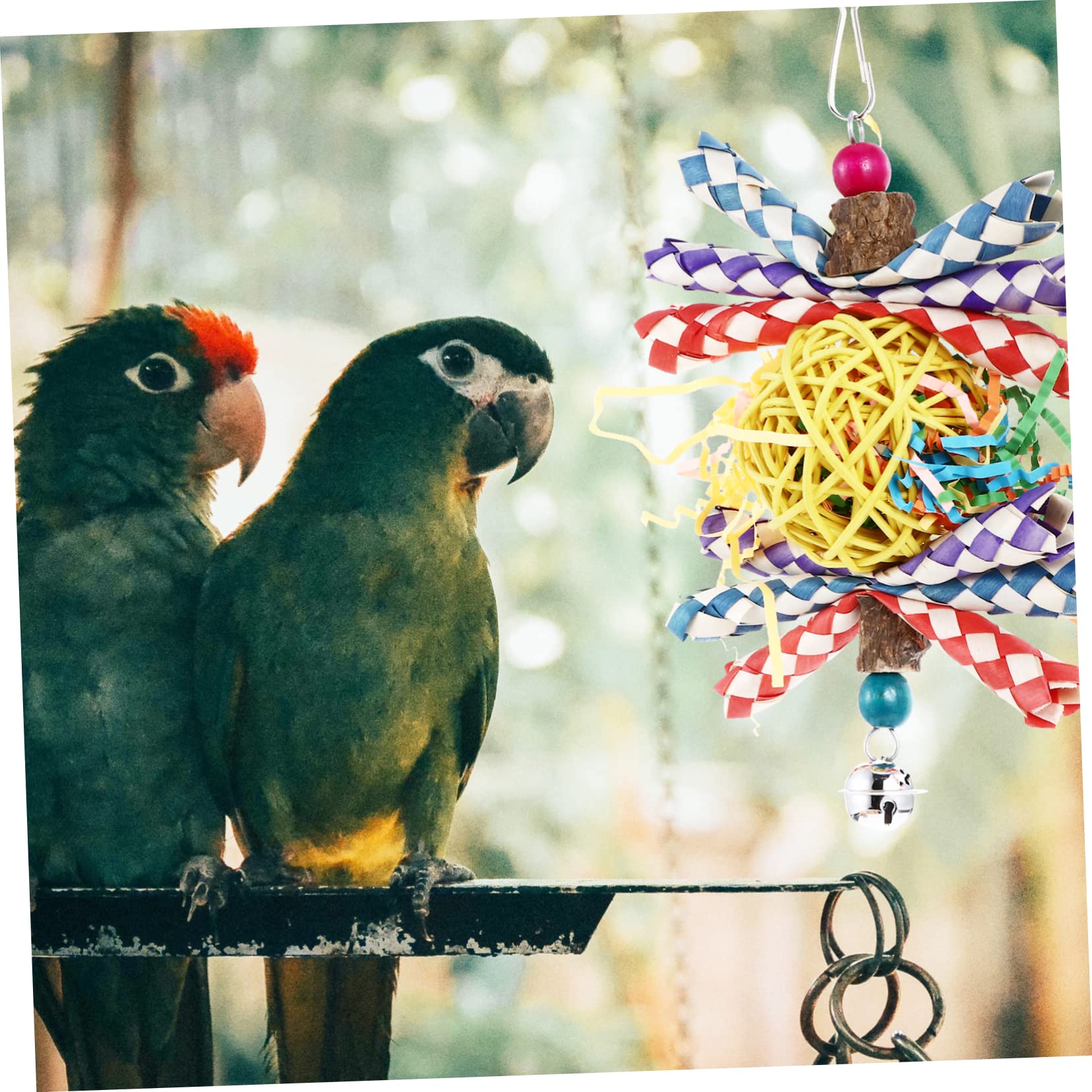 DOITOOL 2pezzi Giocattolo Da Masticare Per Pappagalli Gioco Creativo Rattan Per Uccelli Accessorio Per Attività Fisica e Divertimento Riduce La Solitudine Resistente e Duraturo
