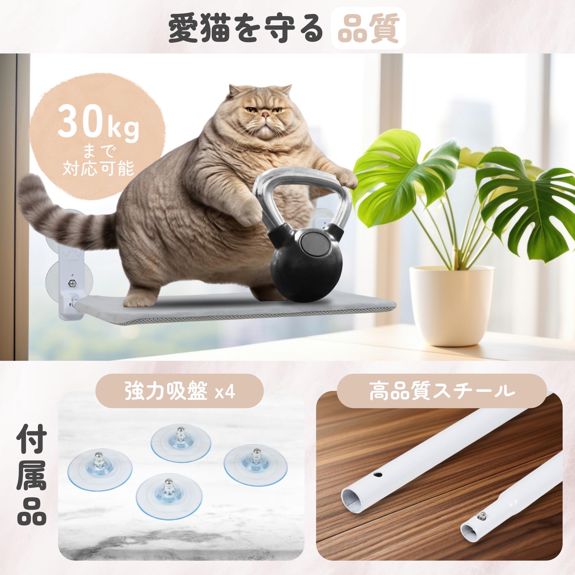 Amazon.co.jp: [Arzona ] 猫用ハンモック Lサイズ 窓用 吸盤式