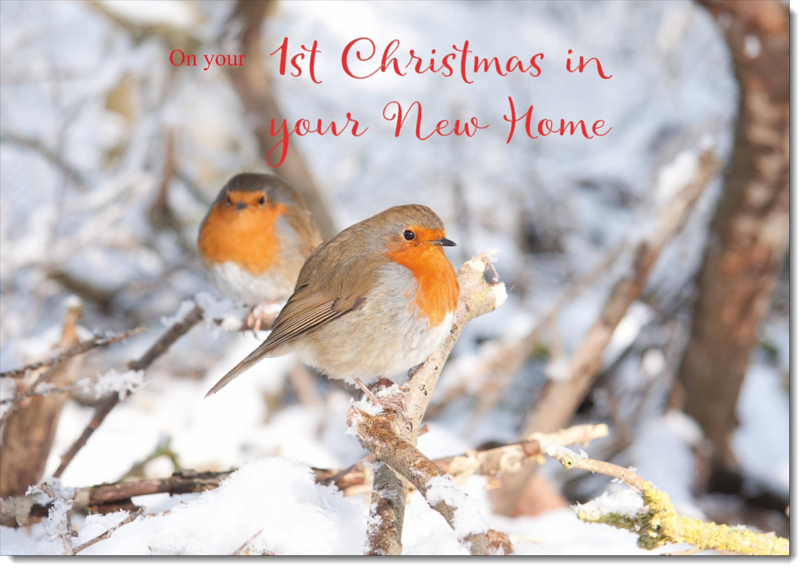 doodlecards 1st First Christmas in New Home Christmas Card Two Robins in Tree Large A4 Size Christmas Card for 1st in New Home with Plain Envelope — image 1